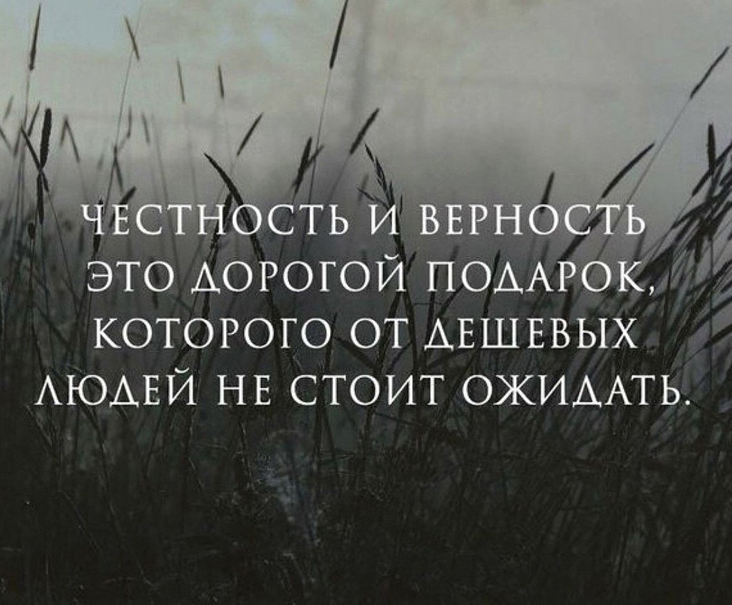 Высказывания о честности