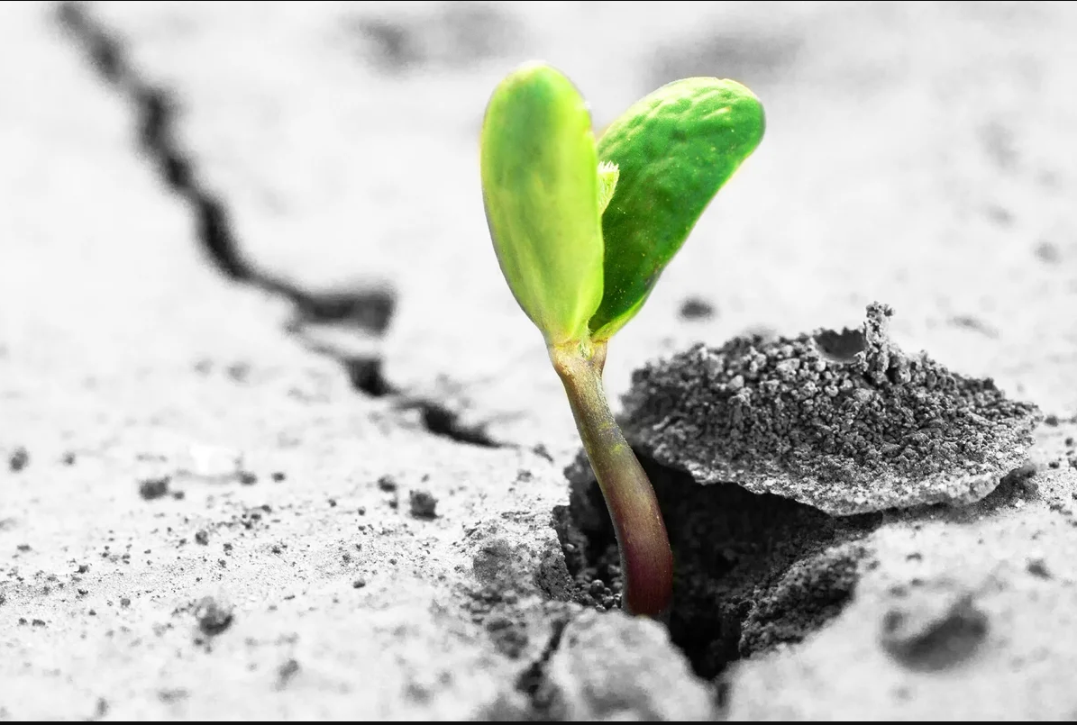 Душевное счастье