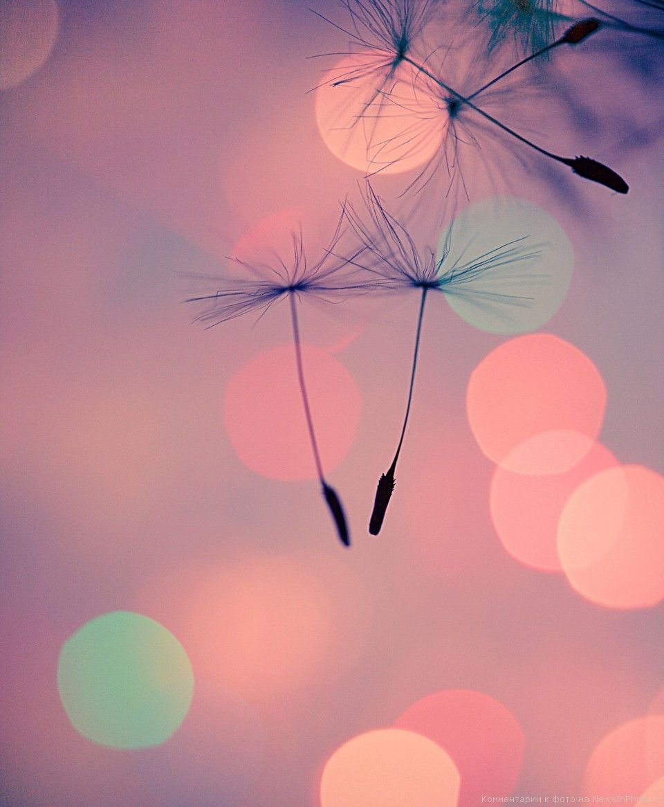 Необычные заставки на экран блокировки