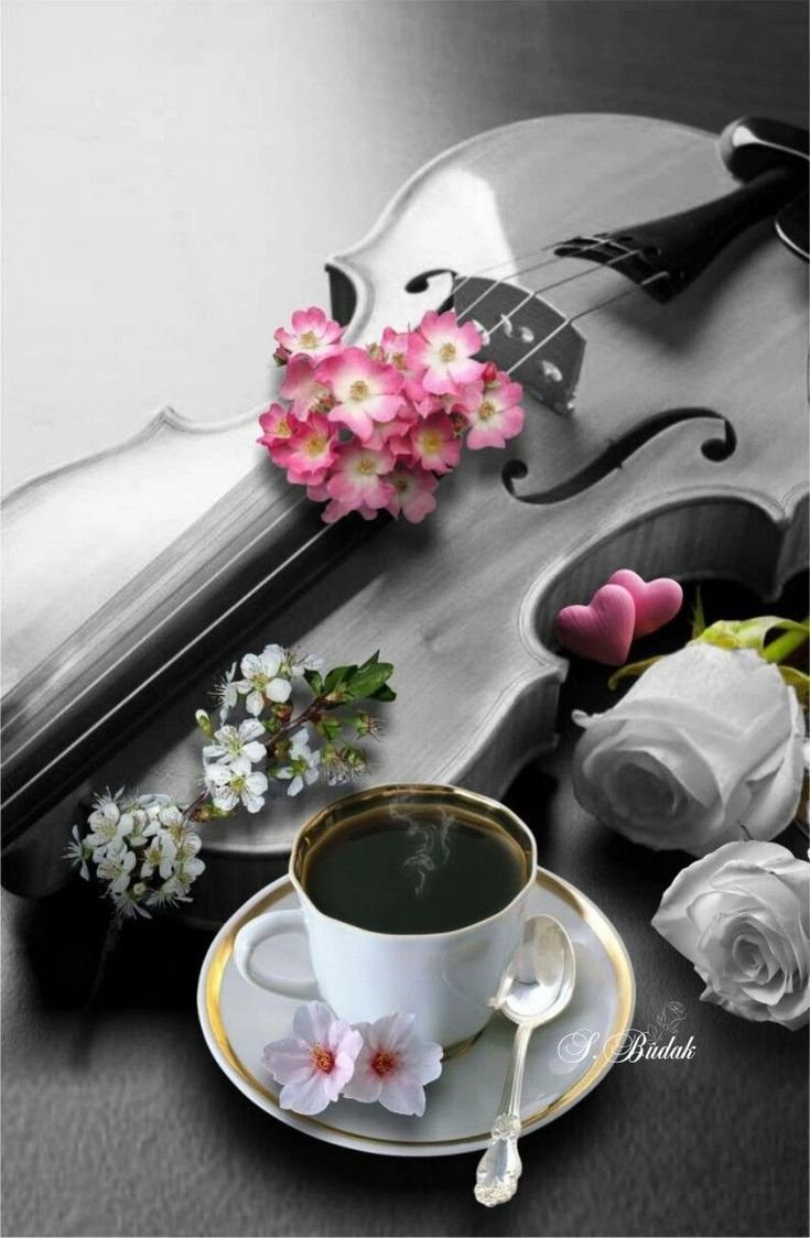 Кофе со скрипкой