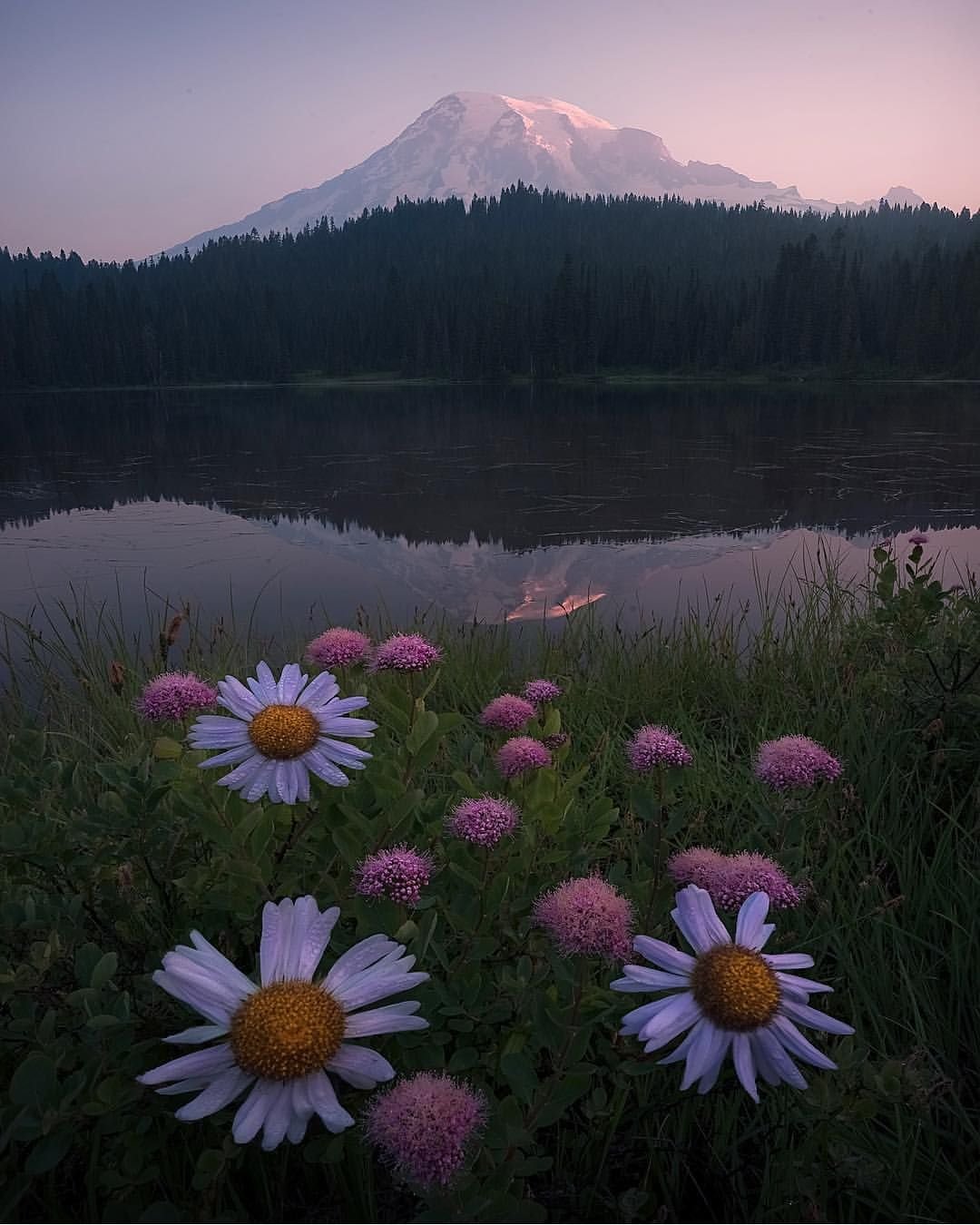 Эстетика природы