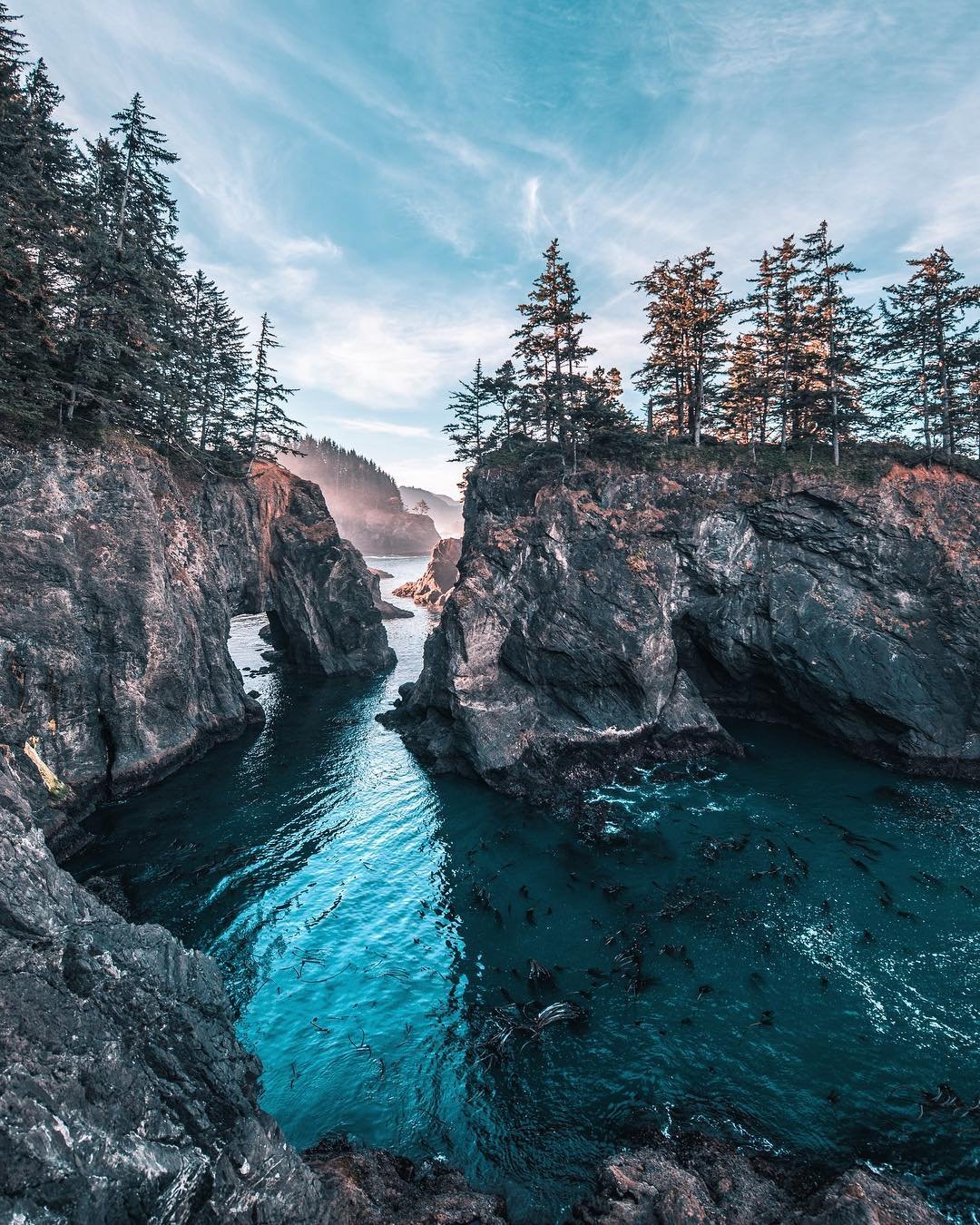 Пейзаж Эстетика