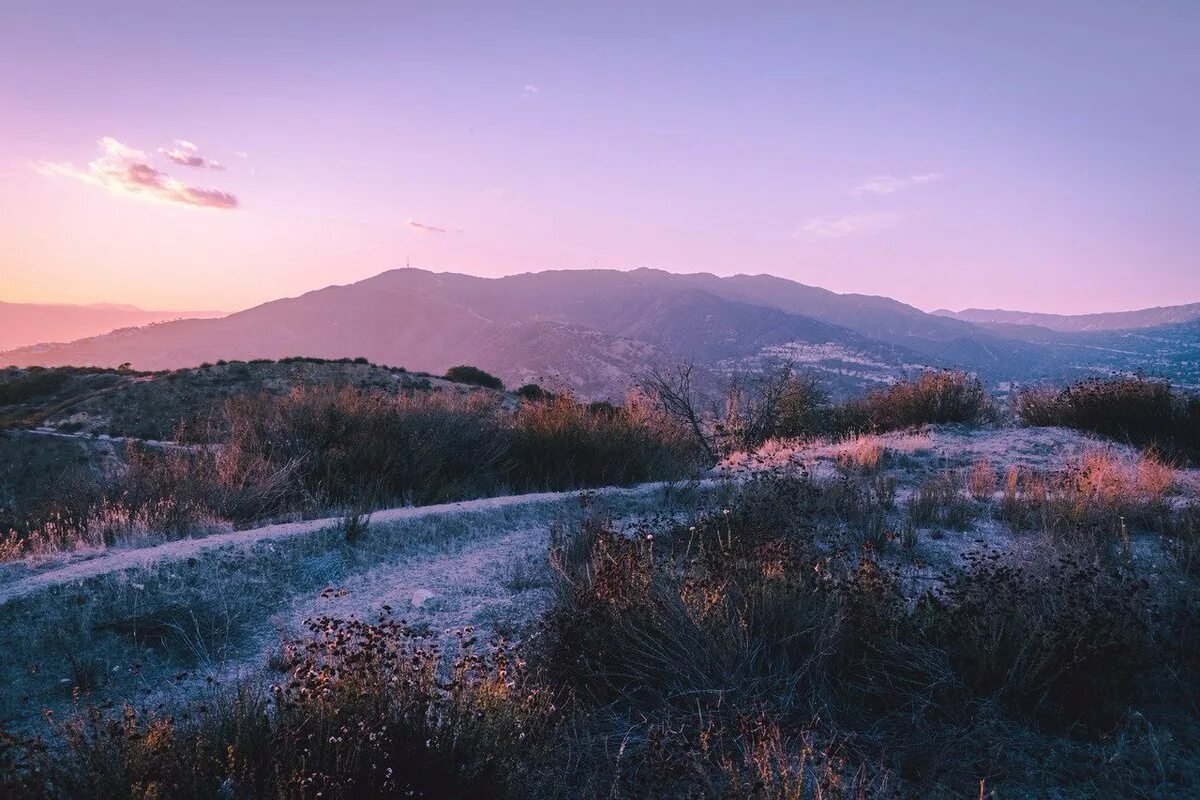 Эстетика природы