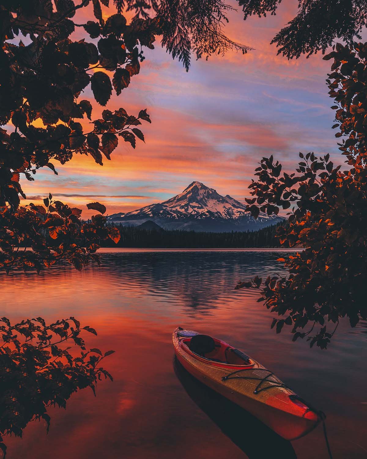 Эстетические пейзажи