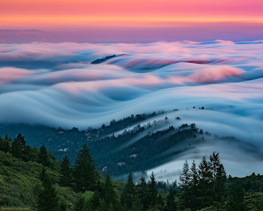 Удивительная природа