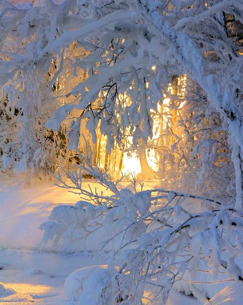 Первый день зимы