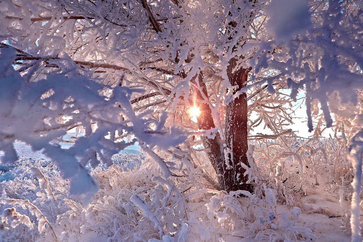 Зимнее настроение