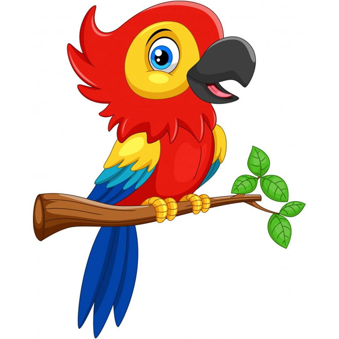 Красный попугай вектор