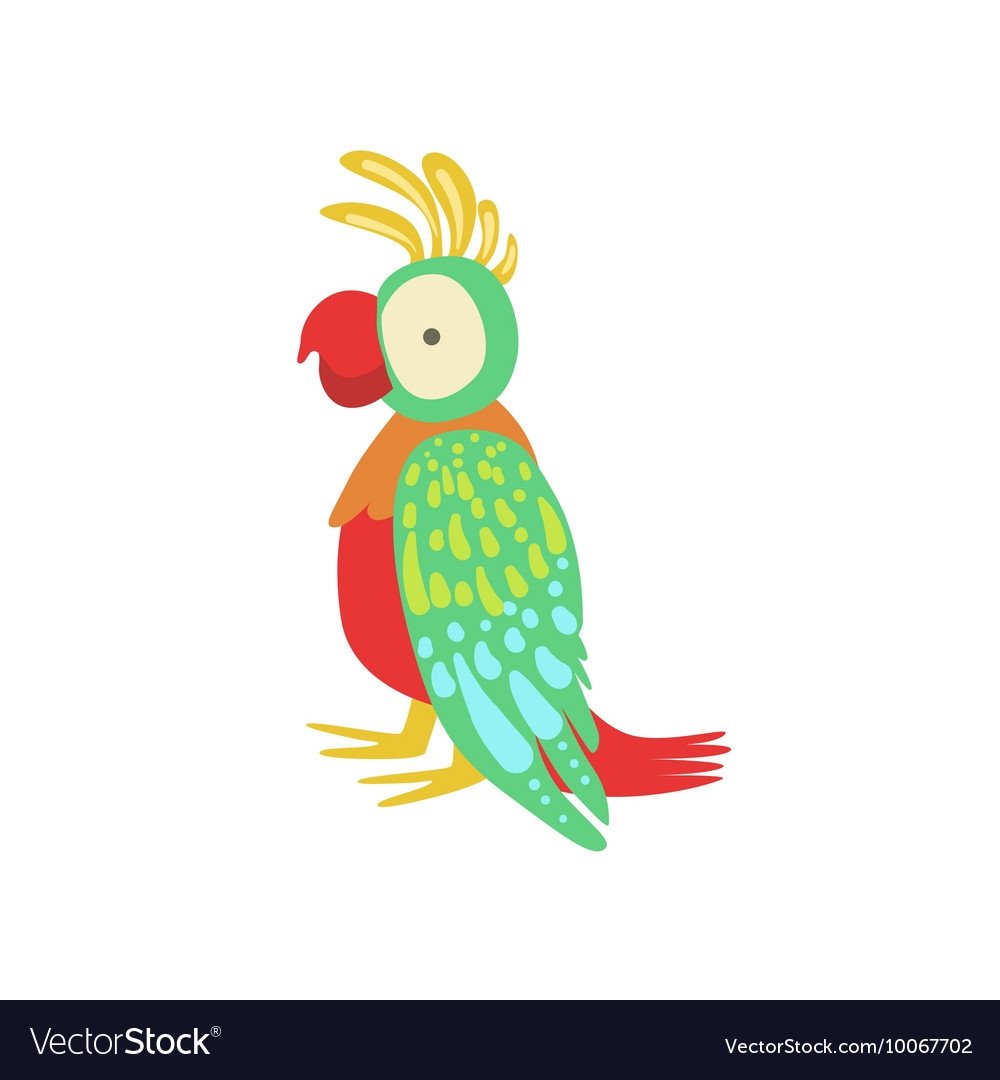 Попугай на белом фоне мультяшный
