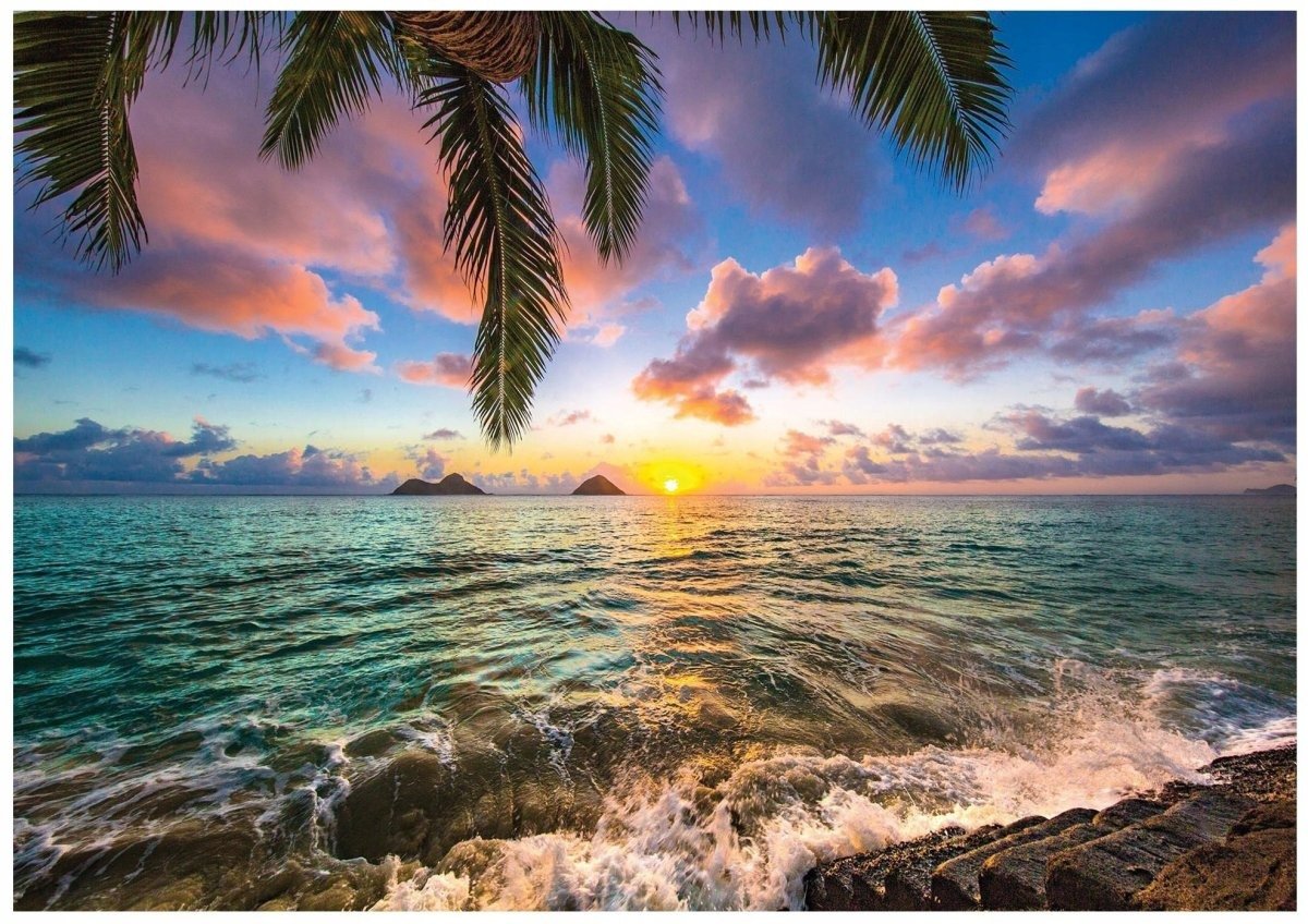 Гавайи ороллари