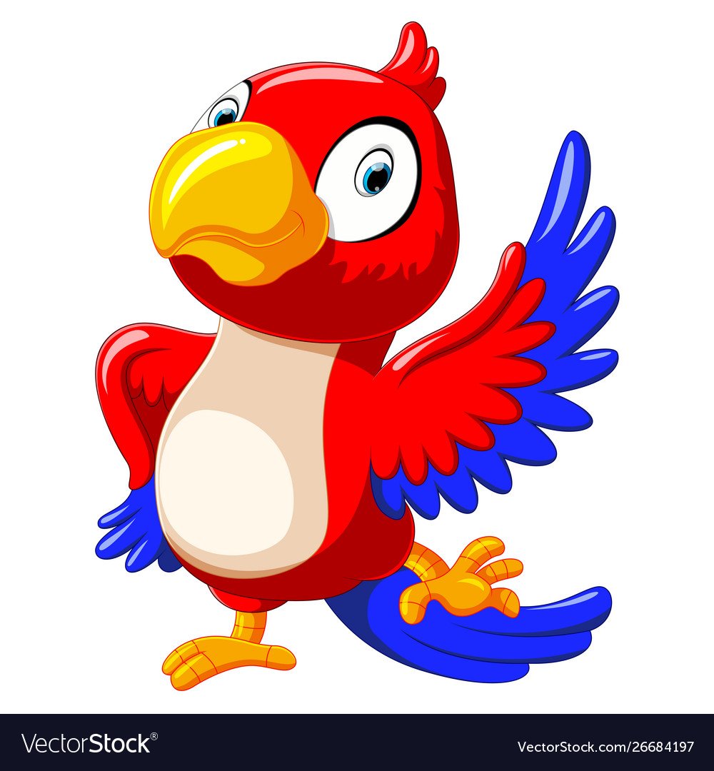 Попугай вектор