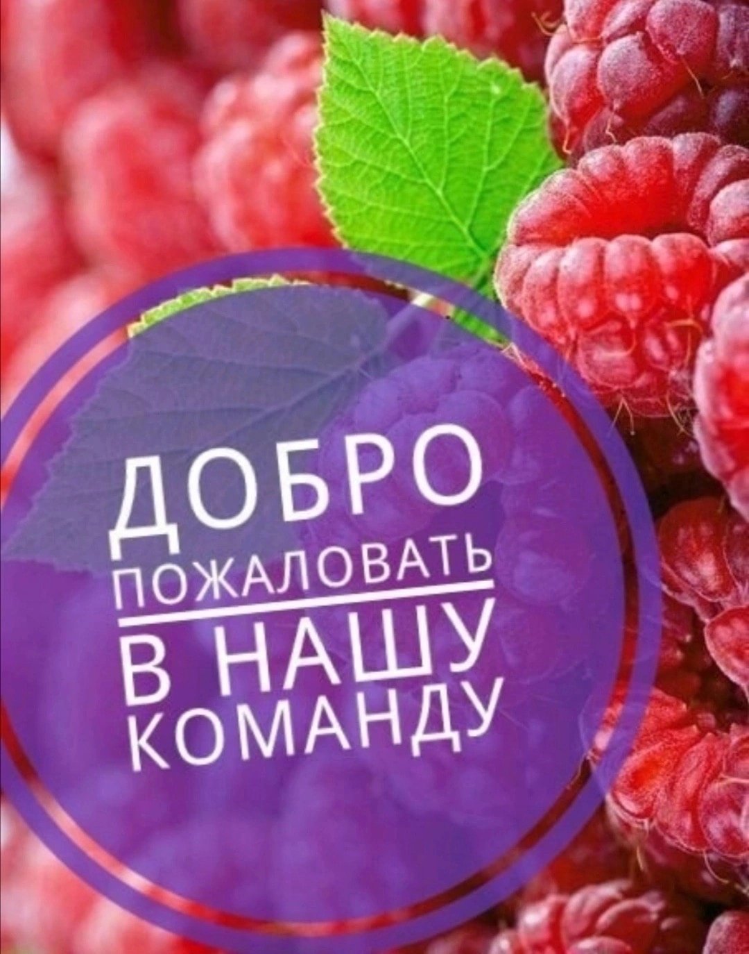 Добро пожаловать в команду