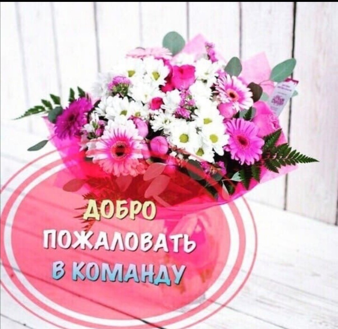 Добро пожаловать в команду