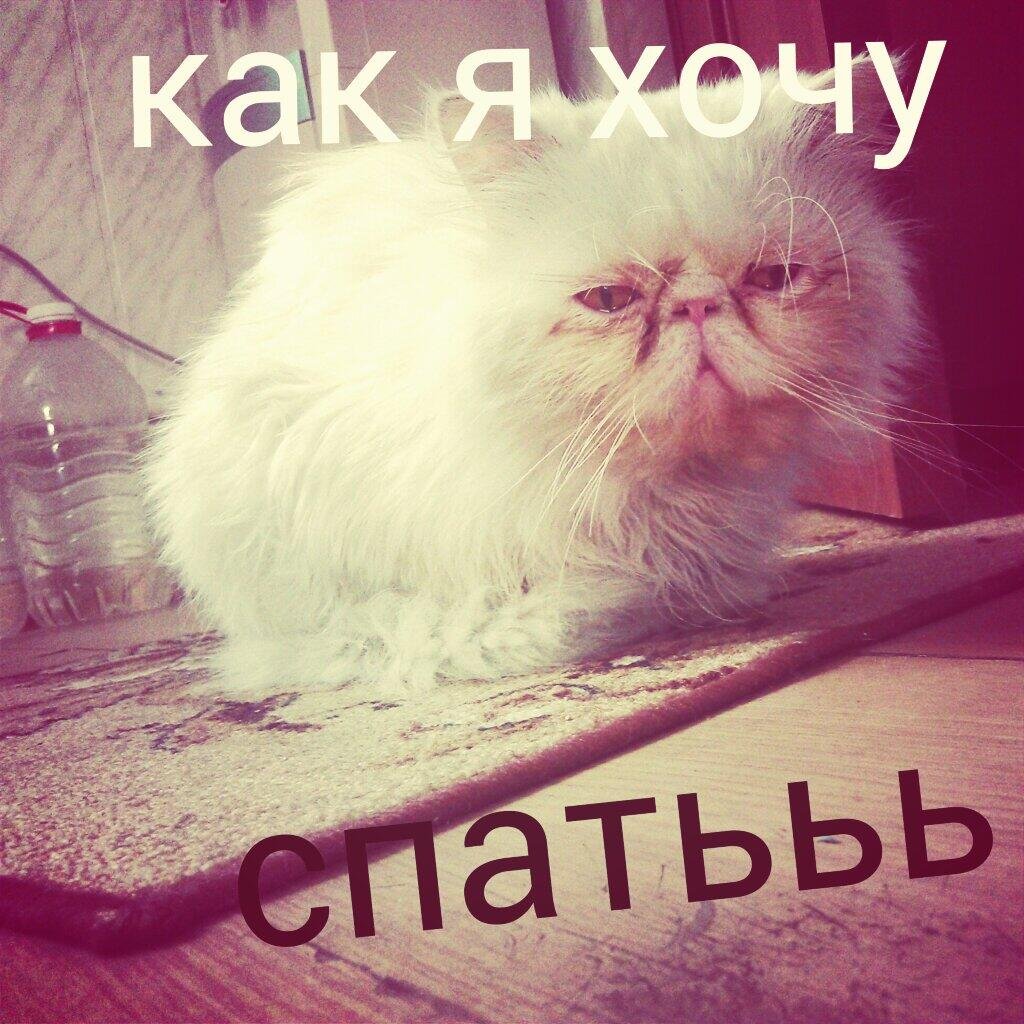 Я хочу спааать