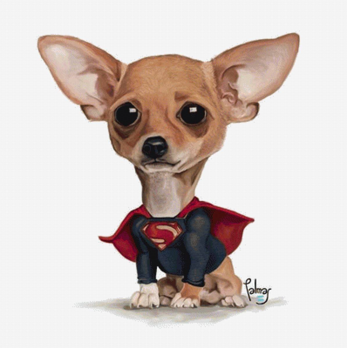 Шарж чихуахуа