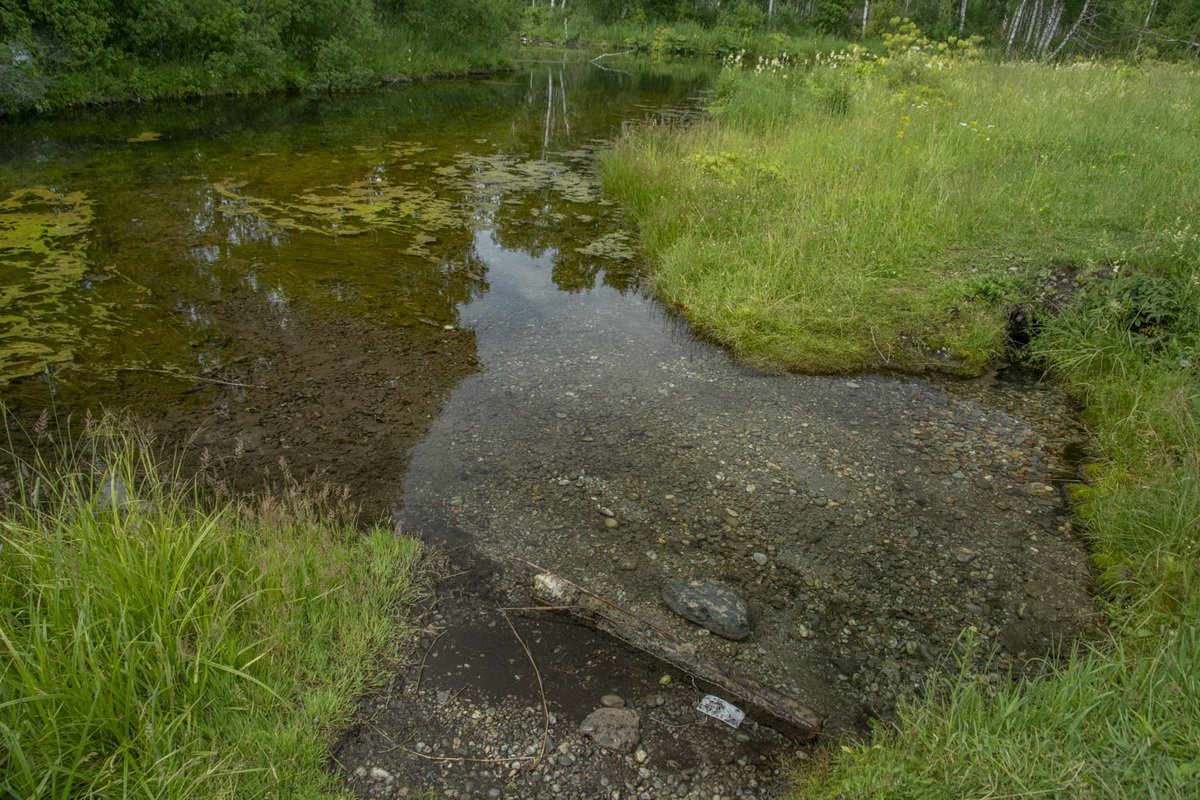 Исток реки реки