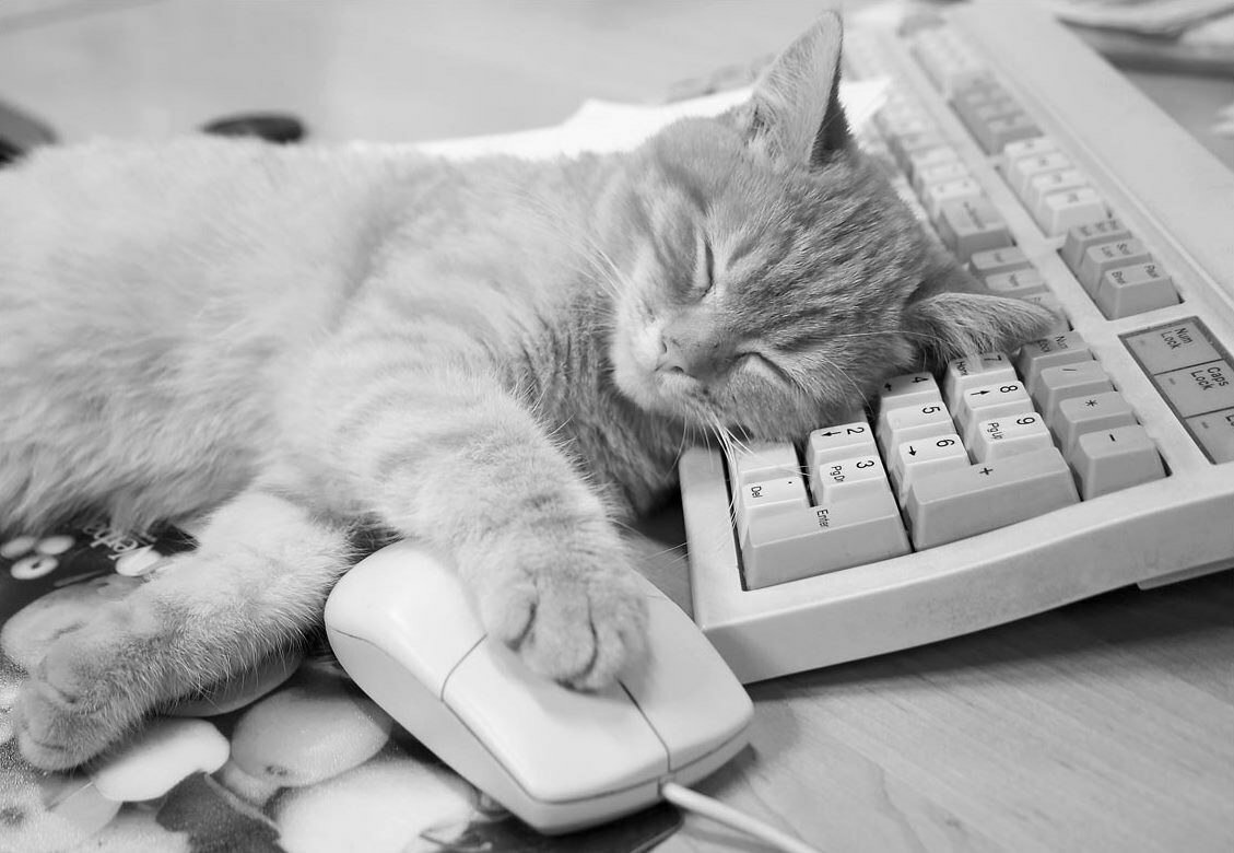 Торт в виде ноутбука