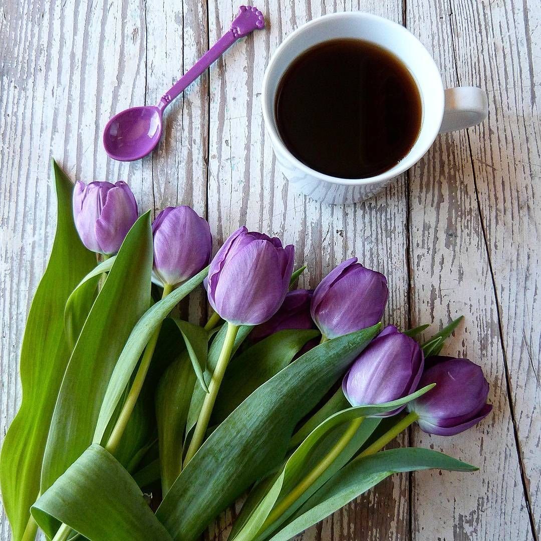 Тюльпаны и чашка кофе