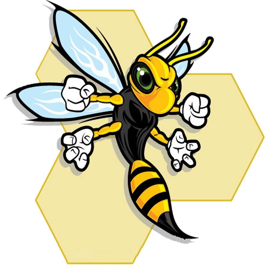 Wu Tang Clan пчела