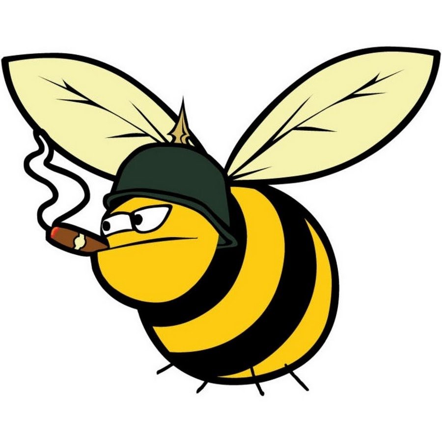 Боевой Шершень