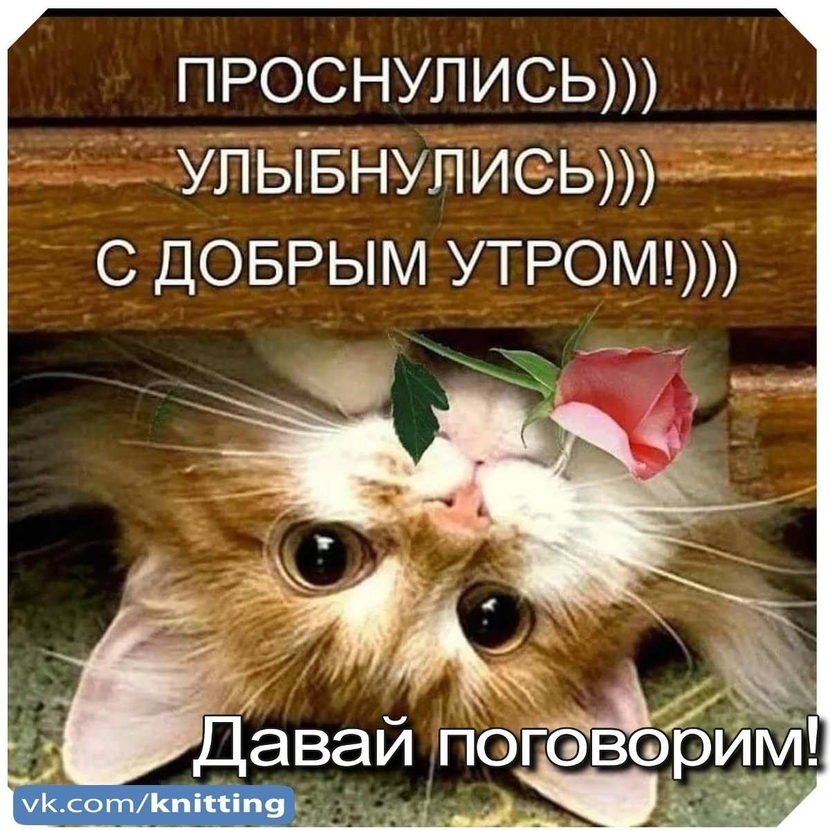 Проснулись УЛЫБНУЛИСЬ доброе утро