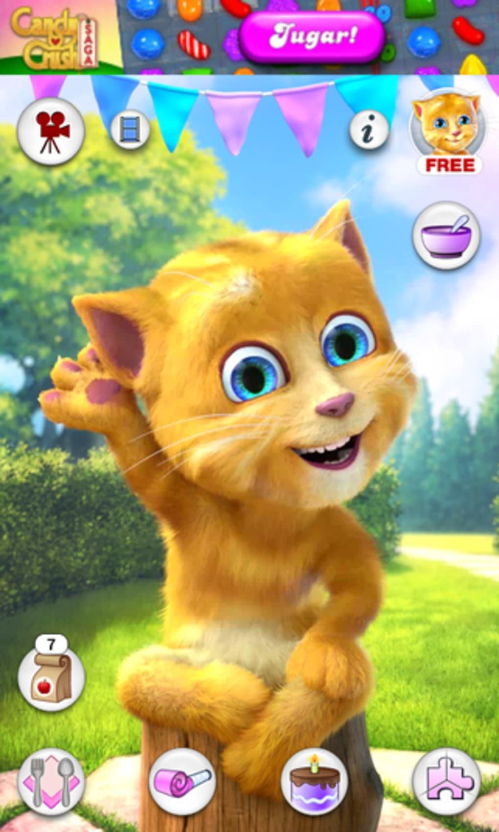 Джинджер кот 2