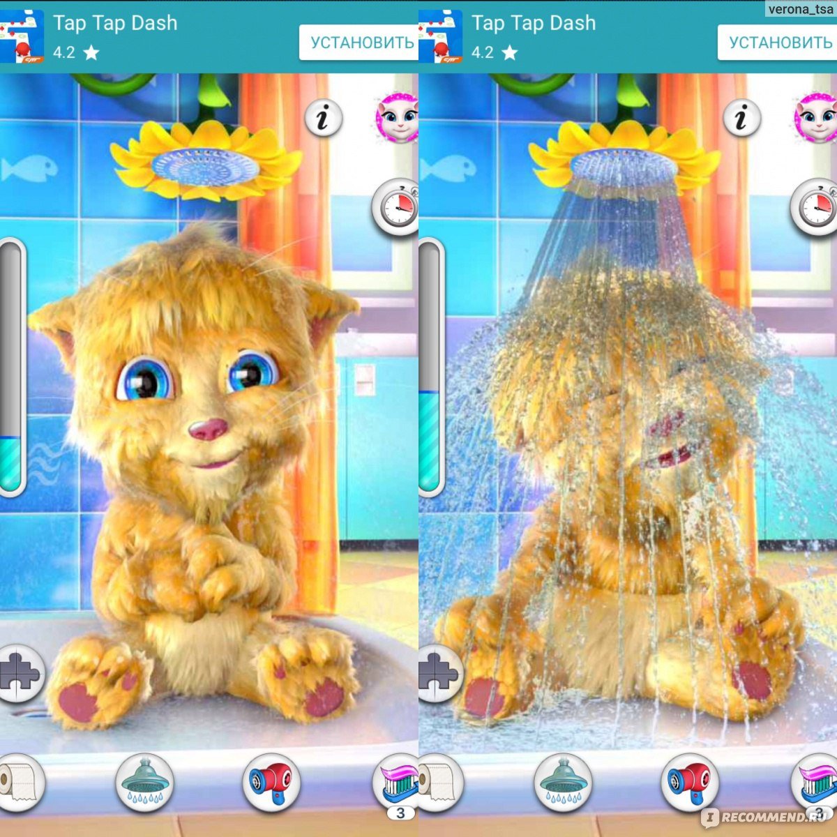 Говорящий Джинджер хомяк