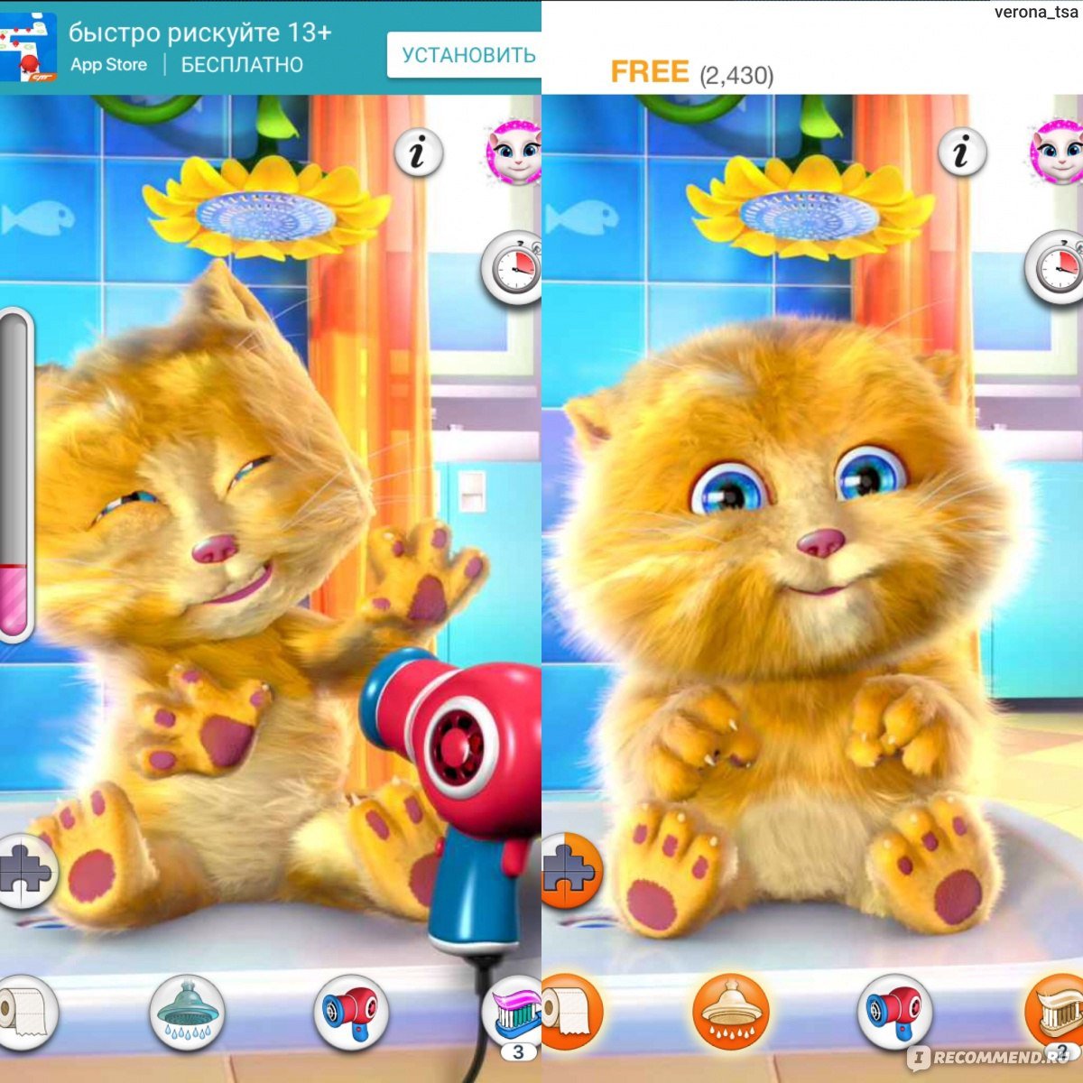 Джинджер кот