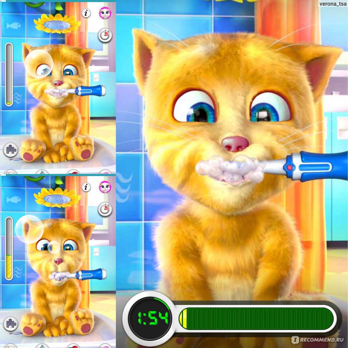 Джинджер кот игра