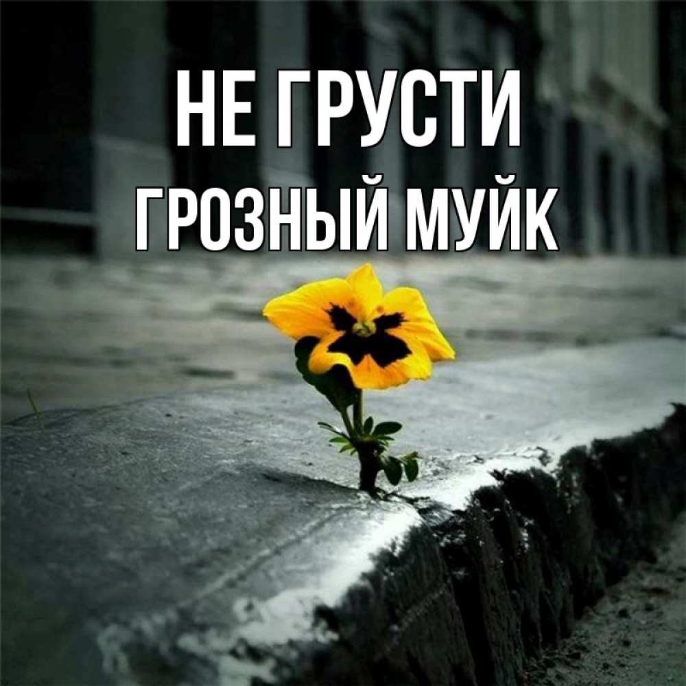 Грустный цветочек