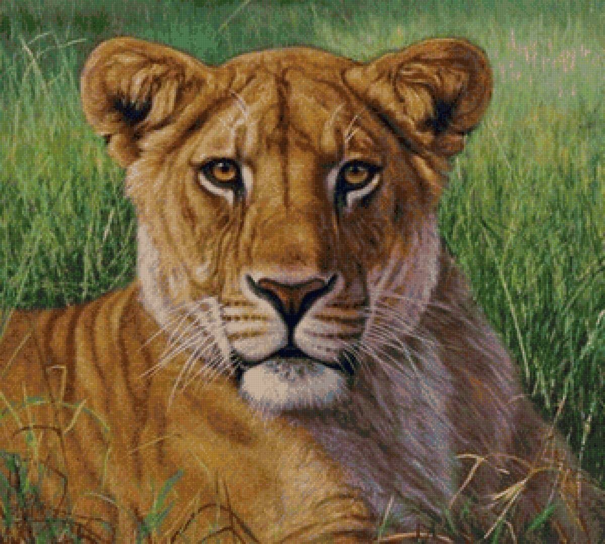 Лев и Львенок