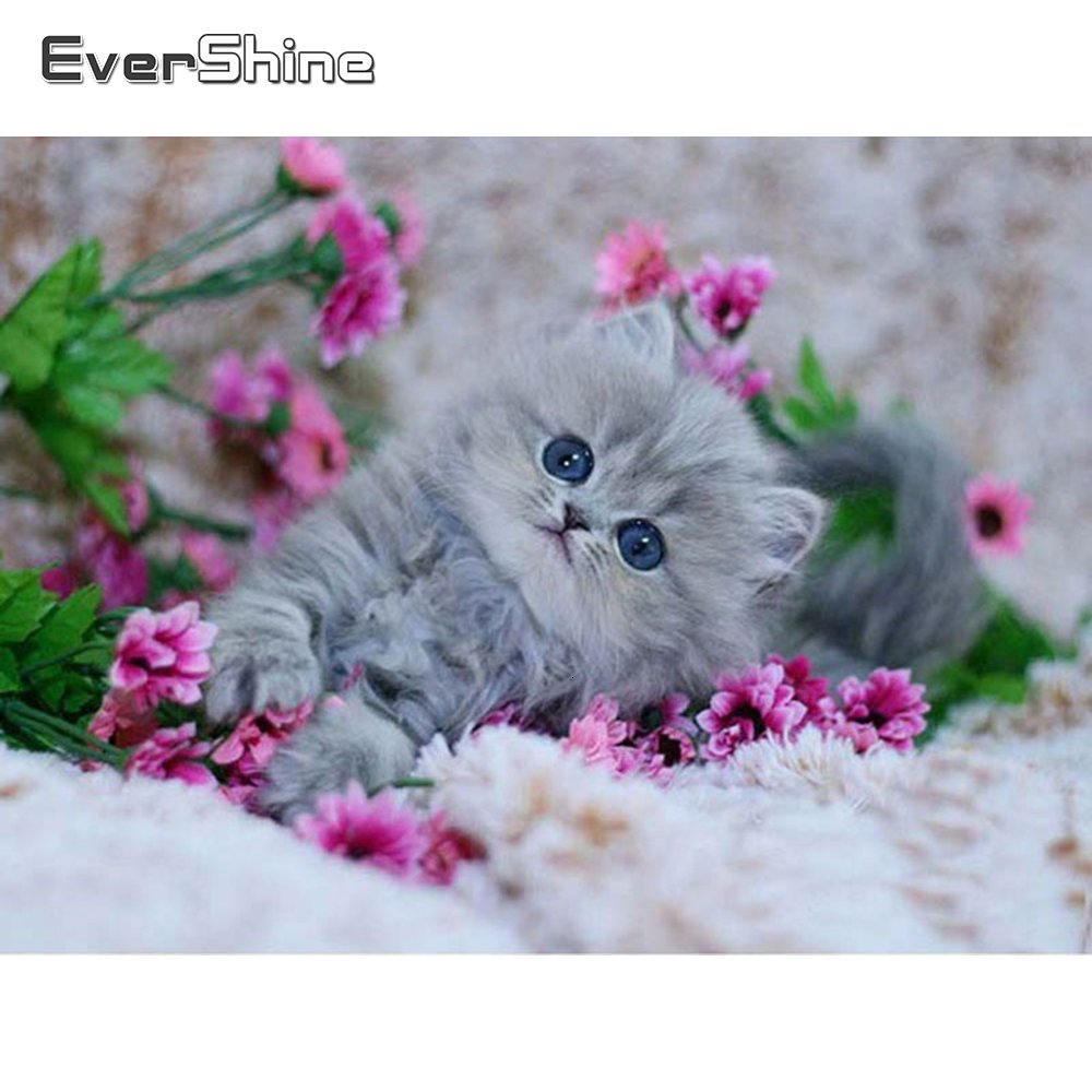 Котенок с розовым бантиком