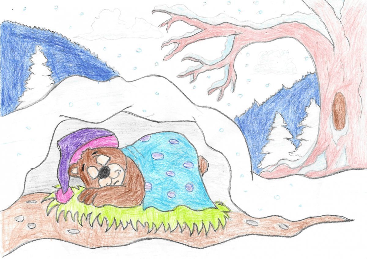 Медвежья Берлога