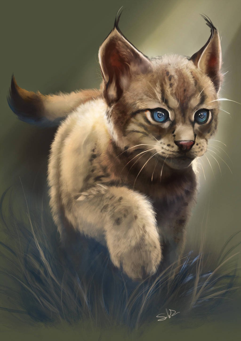 Рысь на Алтае