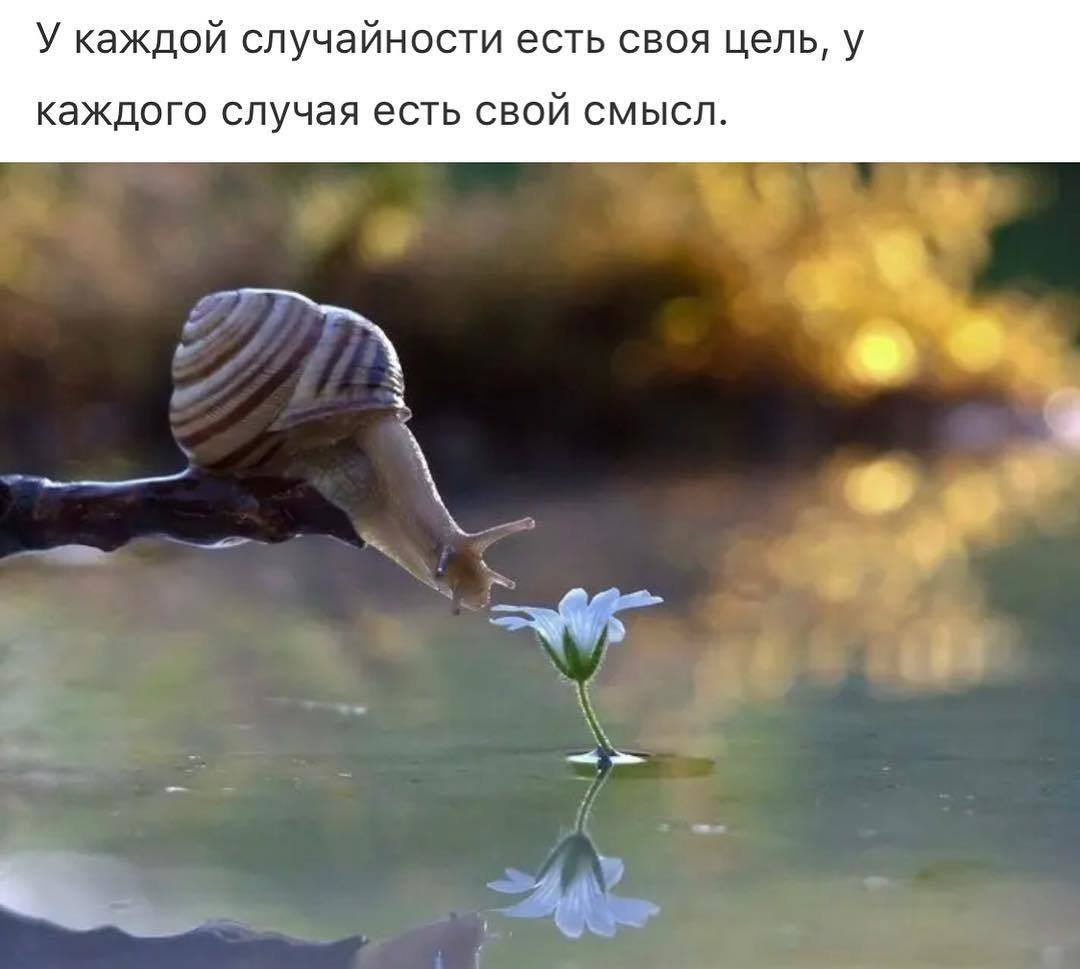 Мастер Угвей и персиковое дерево