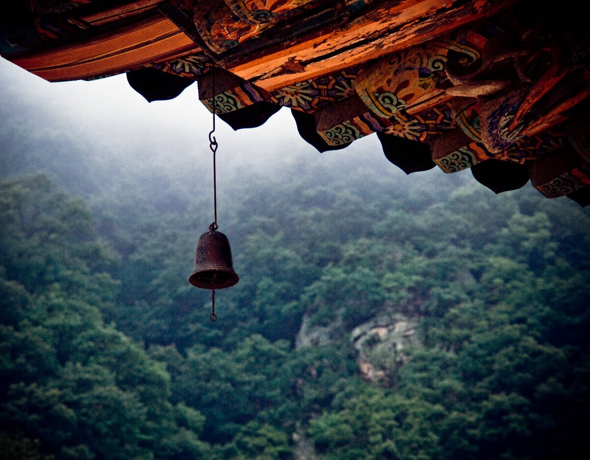 Но не бывает лишних встреч и неслучайны совпадения