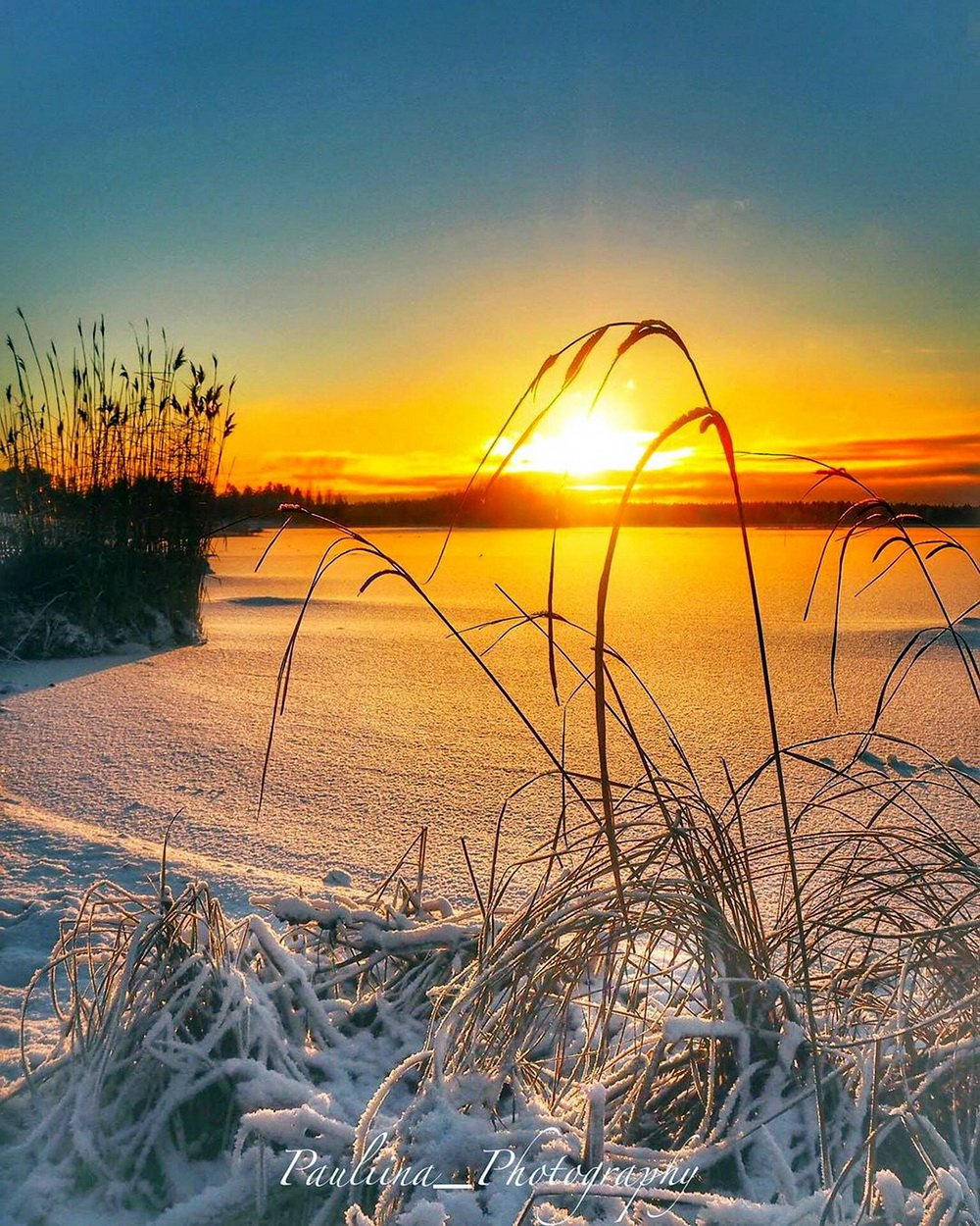 Зимний рассвет