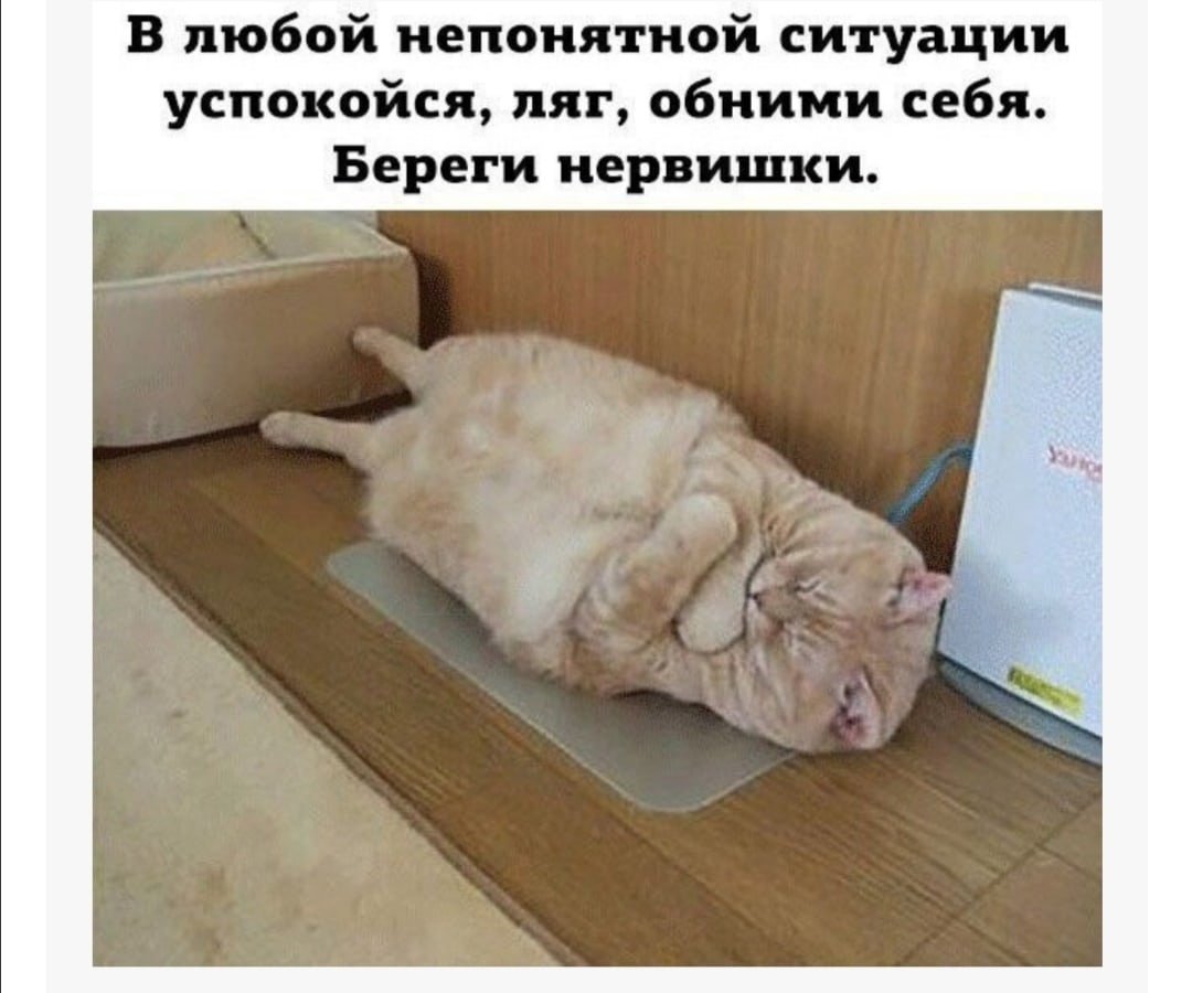 Картинки успокойся прикольные не нервничай