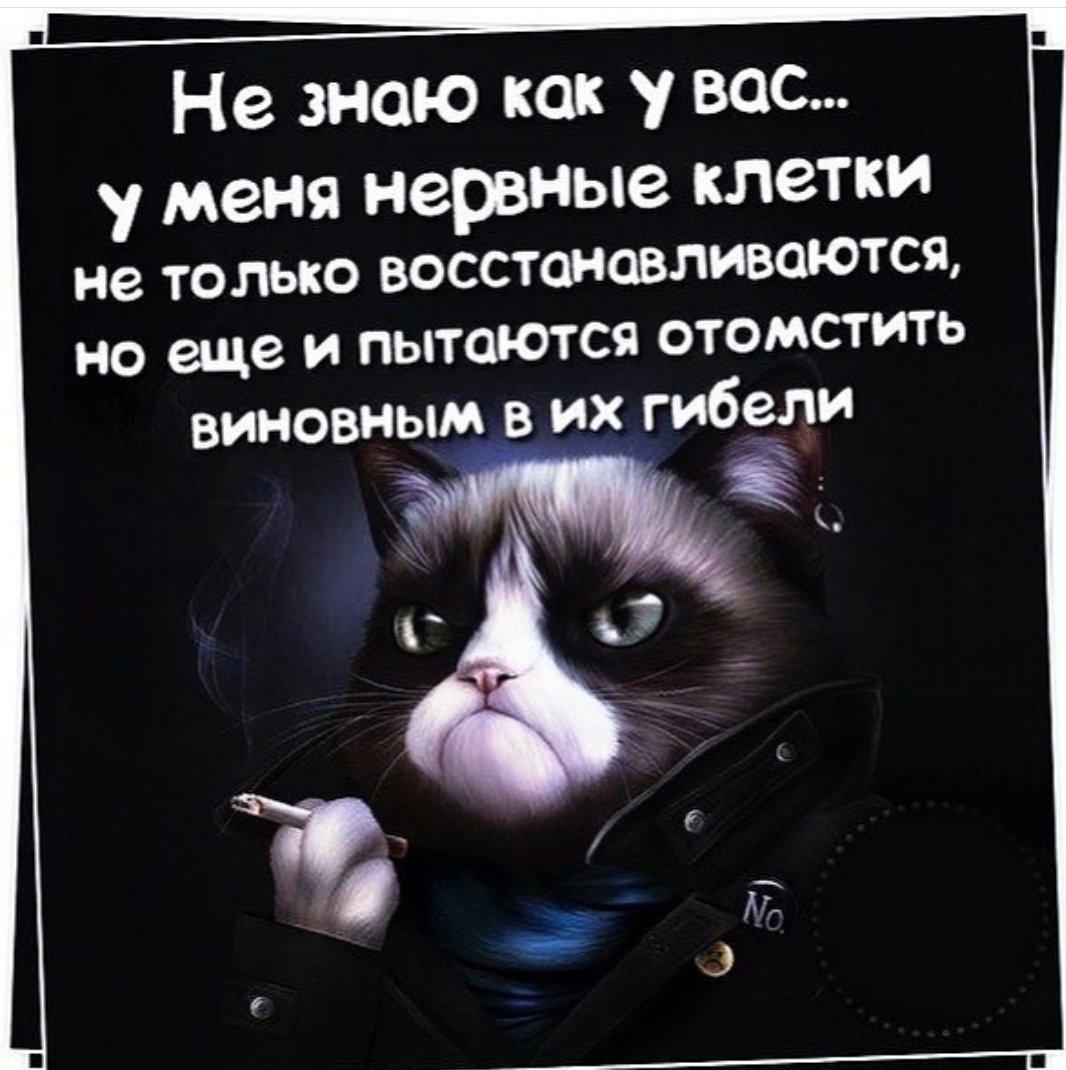 Лемур узбагойся