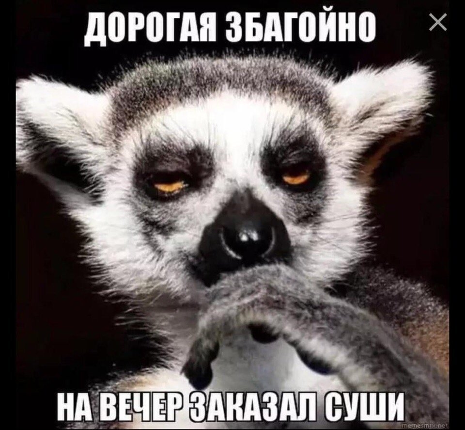 Лемур узбагойся