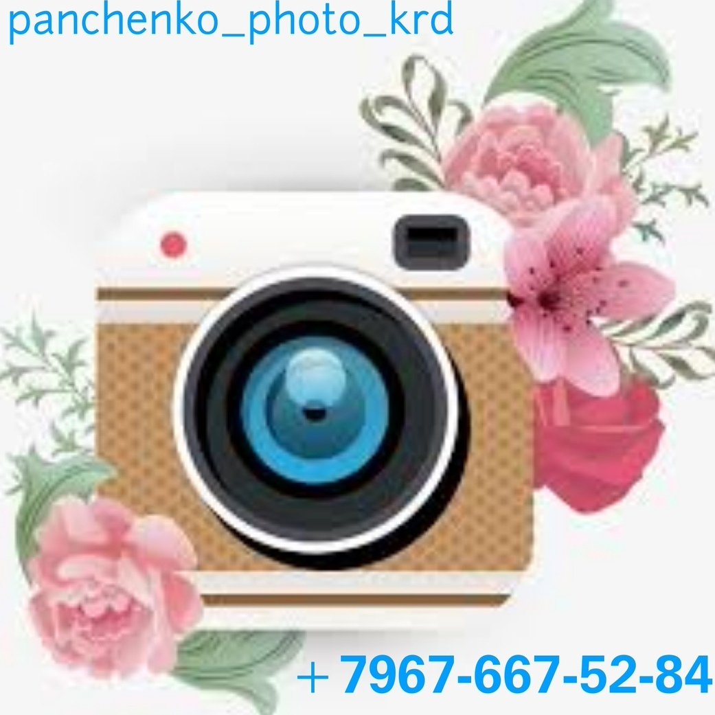 Фотоаппарат наклейка