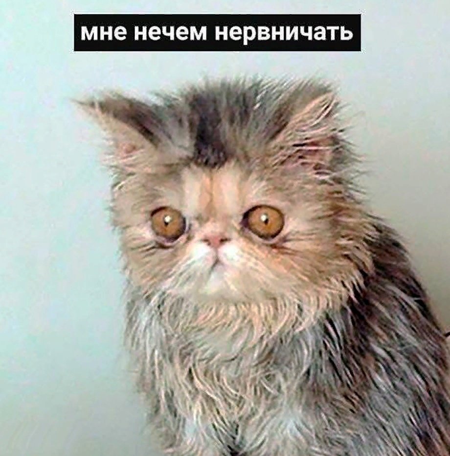 Нервные клетки юмор