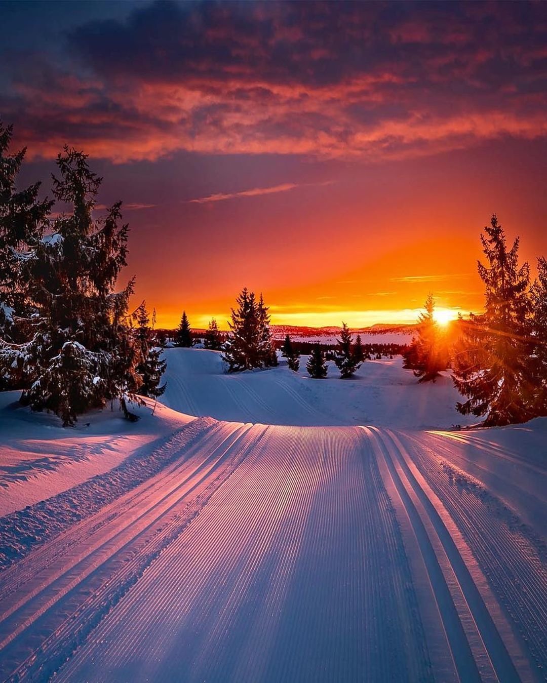 Рассвет зимой