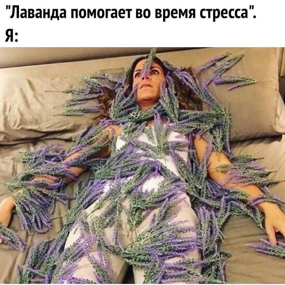 Лемур успокойся