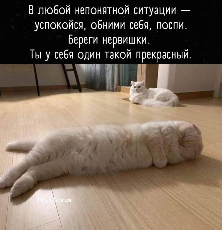 Смешное стихотворение чтобы не нервничать