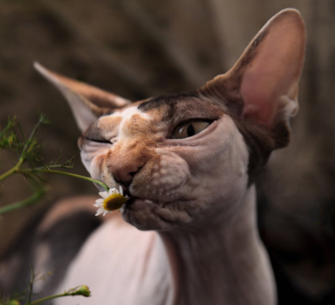 Подбодрить человека