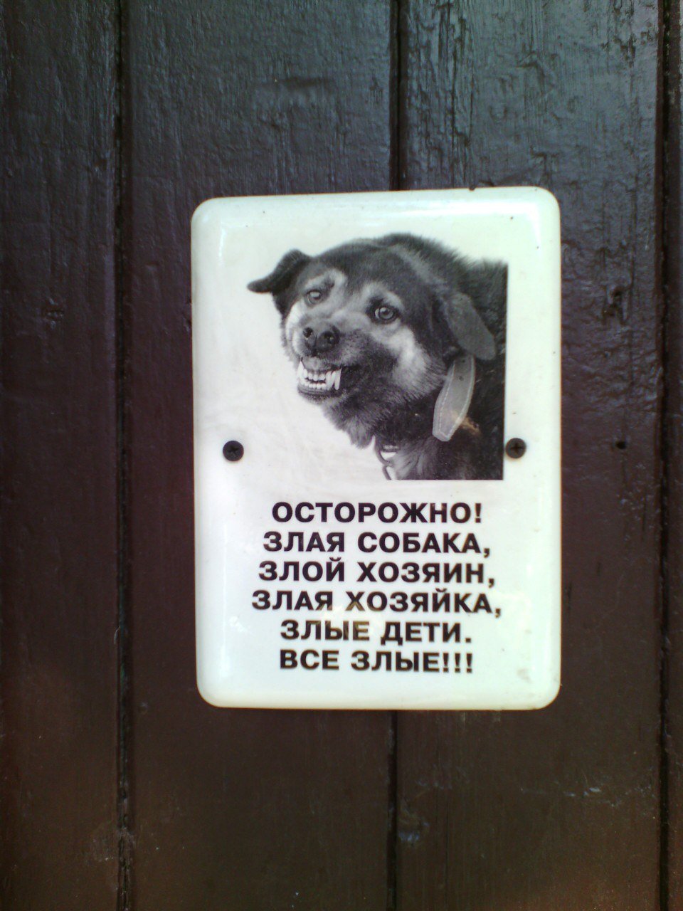 Табличка злая собака Джек