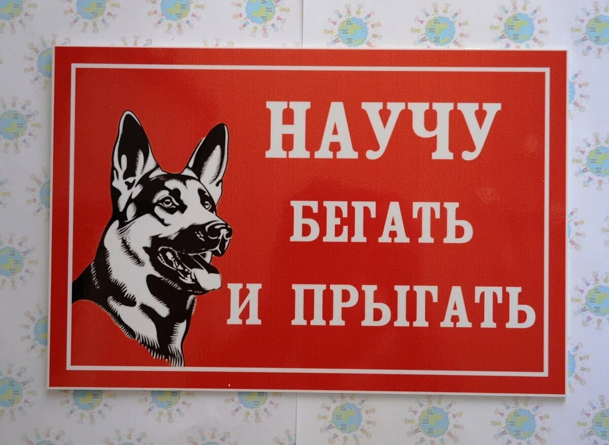 Во дворе злая собака