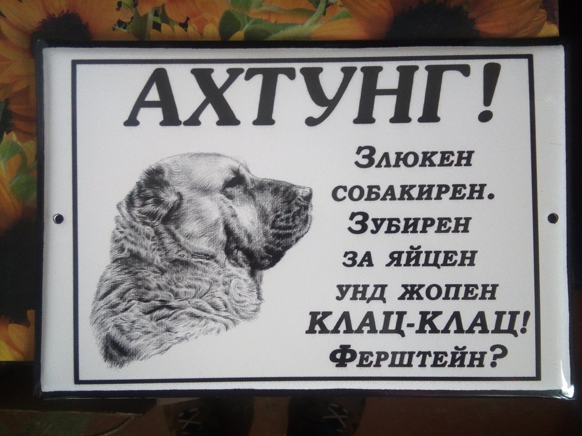 Ахтунг собака