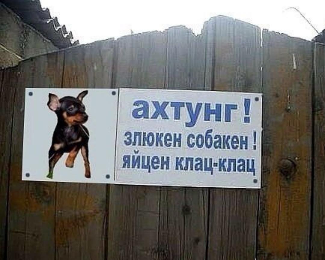 Ахтунг злюкен собакен